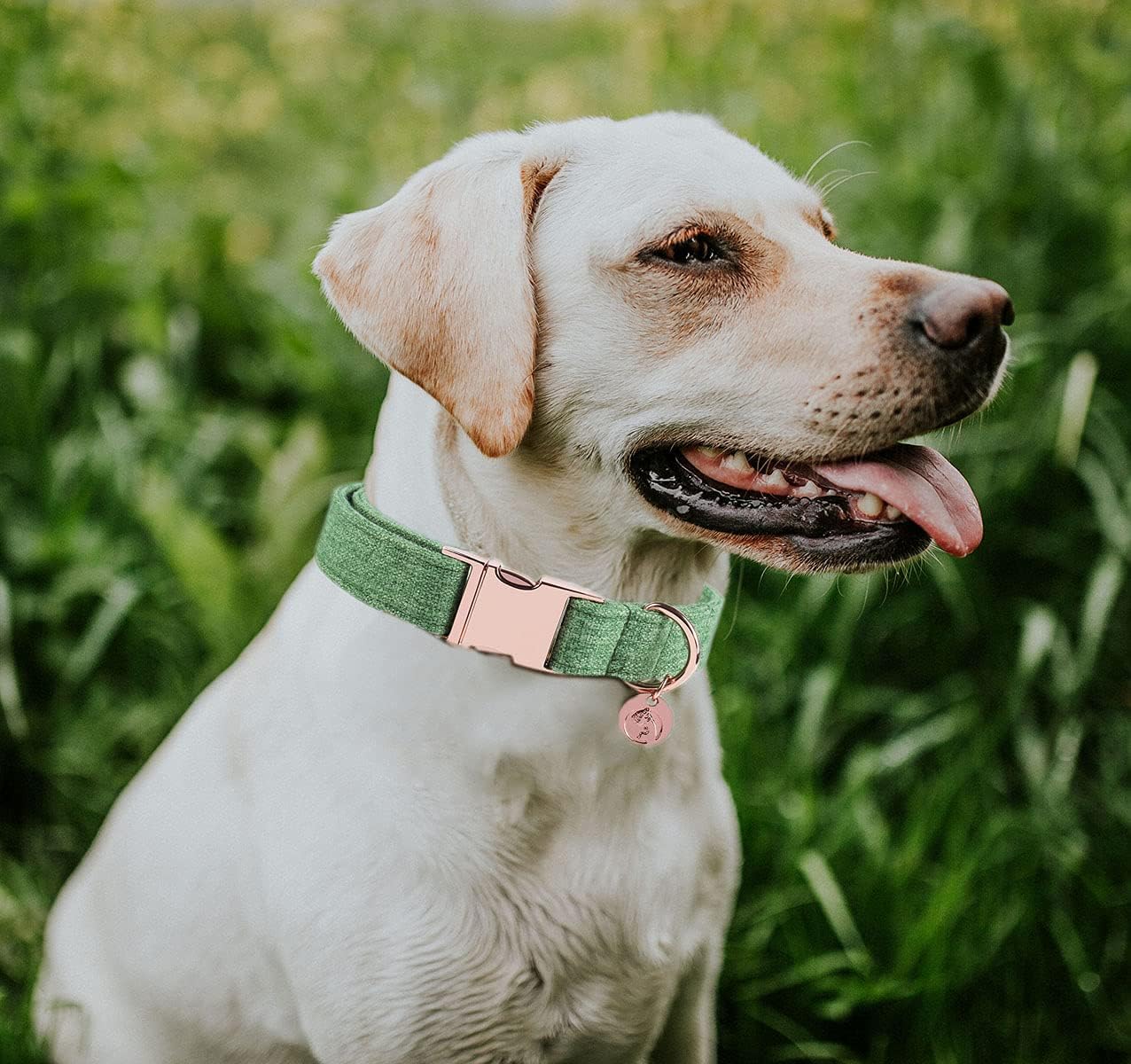 DOGWONG Cotton Dog Collar and Leash Green Pet Collar Soft Durable for Small Medium Large Boy Girl Dogs