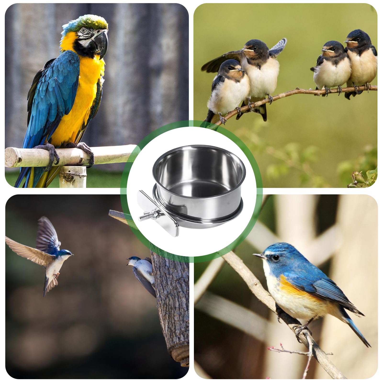 Mangeoire A Oiseaux En Acier Inoxydable