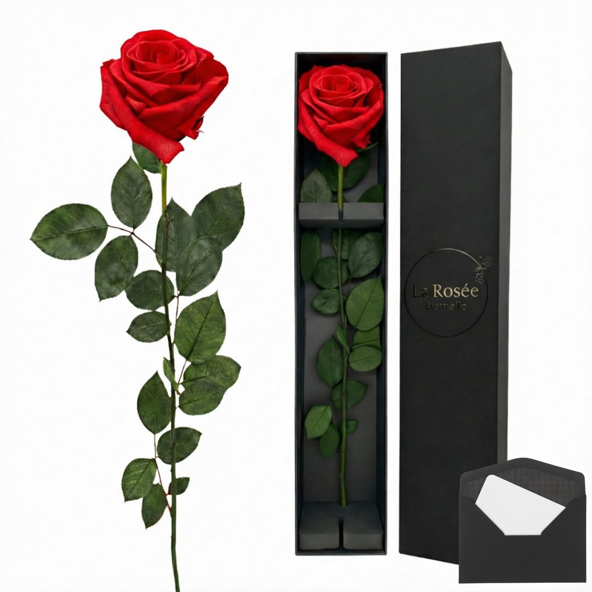 Rosa Eterna Natural con Tallo Largo – Rosa Preservada Perfumada de Ecuador – Regalo Original para Mujer, Pareja, Novia y Día de la Madre – Diseño Artesanal en España – Color Rojo (Red One)