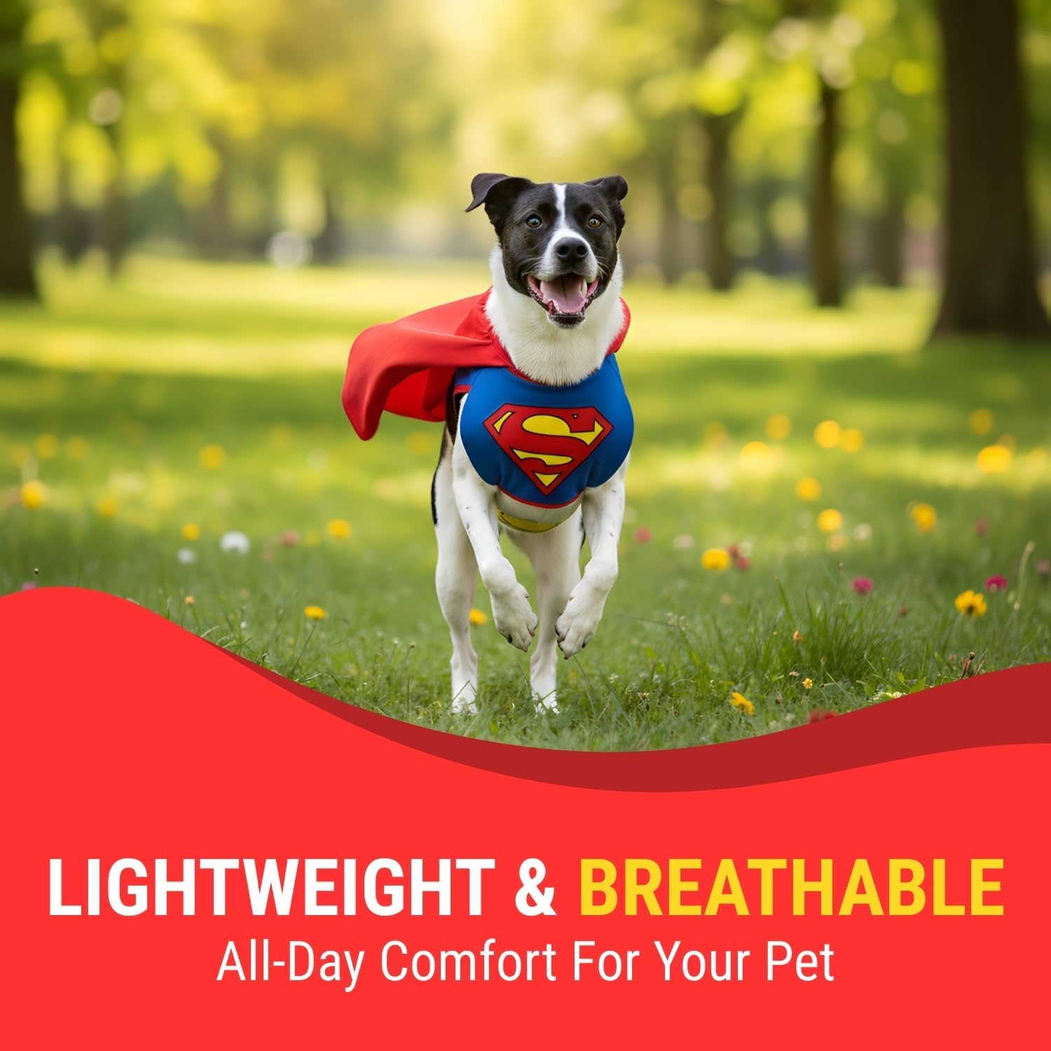 Fun Express Superman Dog Costume - Perfect Halloween Outfit for Dogs, Photoshoots