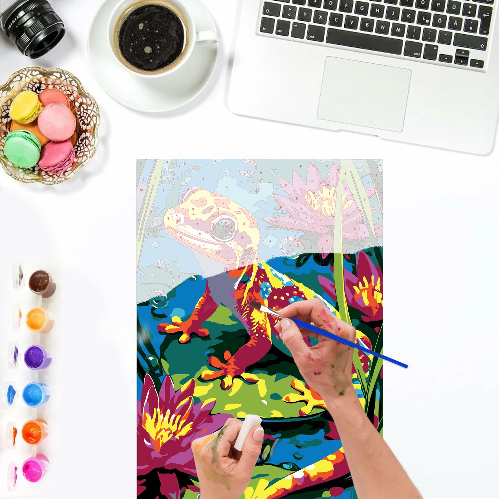 Kit De Pintura Por Números Rana – Lienzo 20x30 Cm Con Marco Y Pinturas Acrílicas, Para Adultos Y Niños