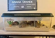 Review Image by Gavin Wade Gavin Wade