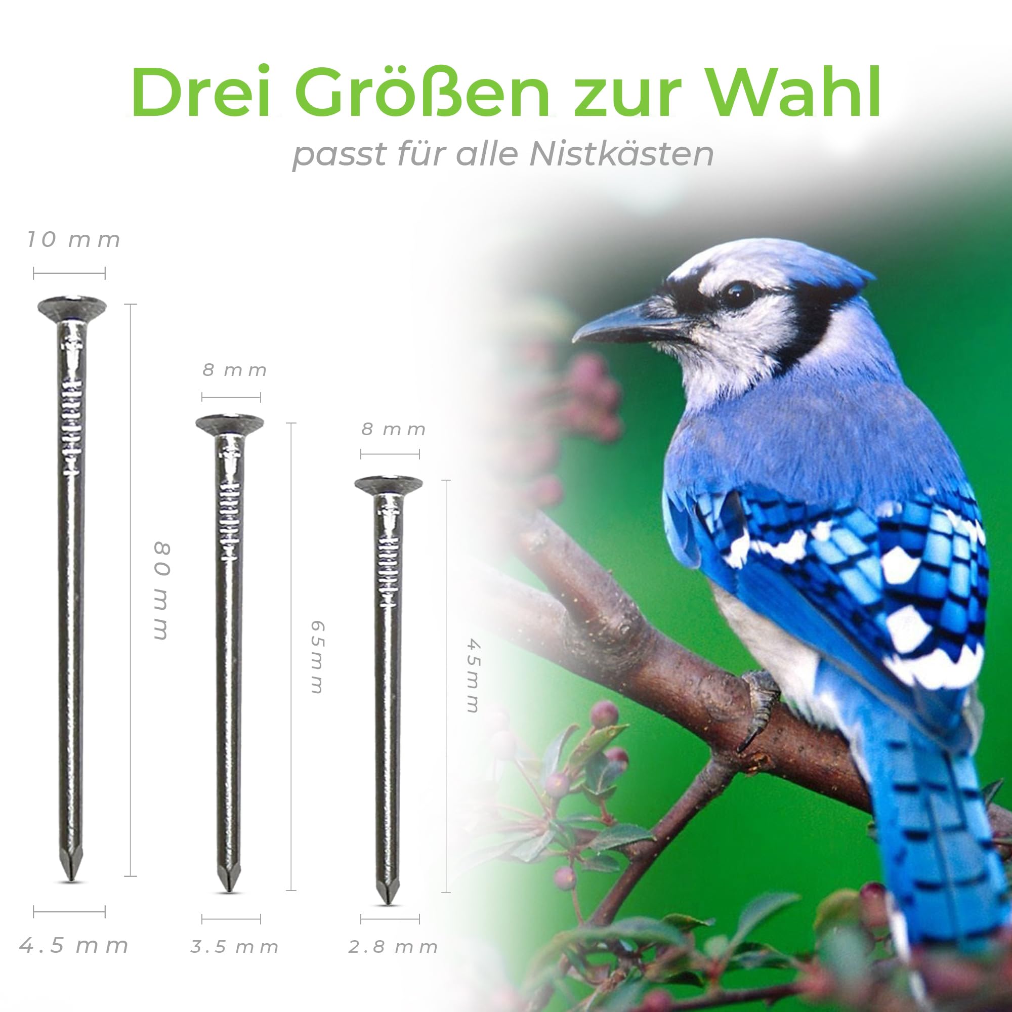 bambus strohhalme gastronomie Bambus Strohhalme - JustStraws main image 1