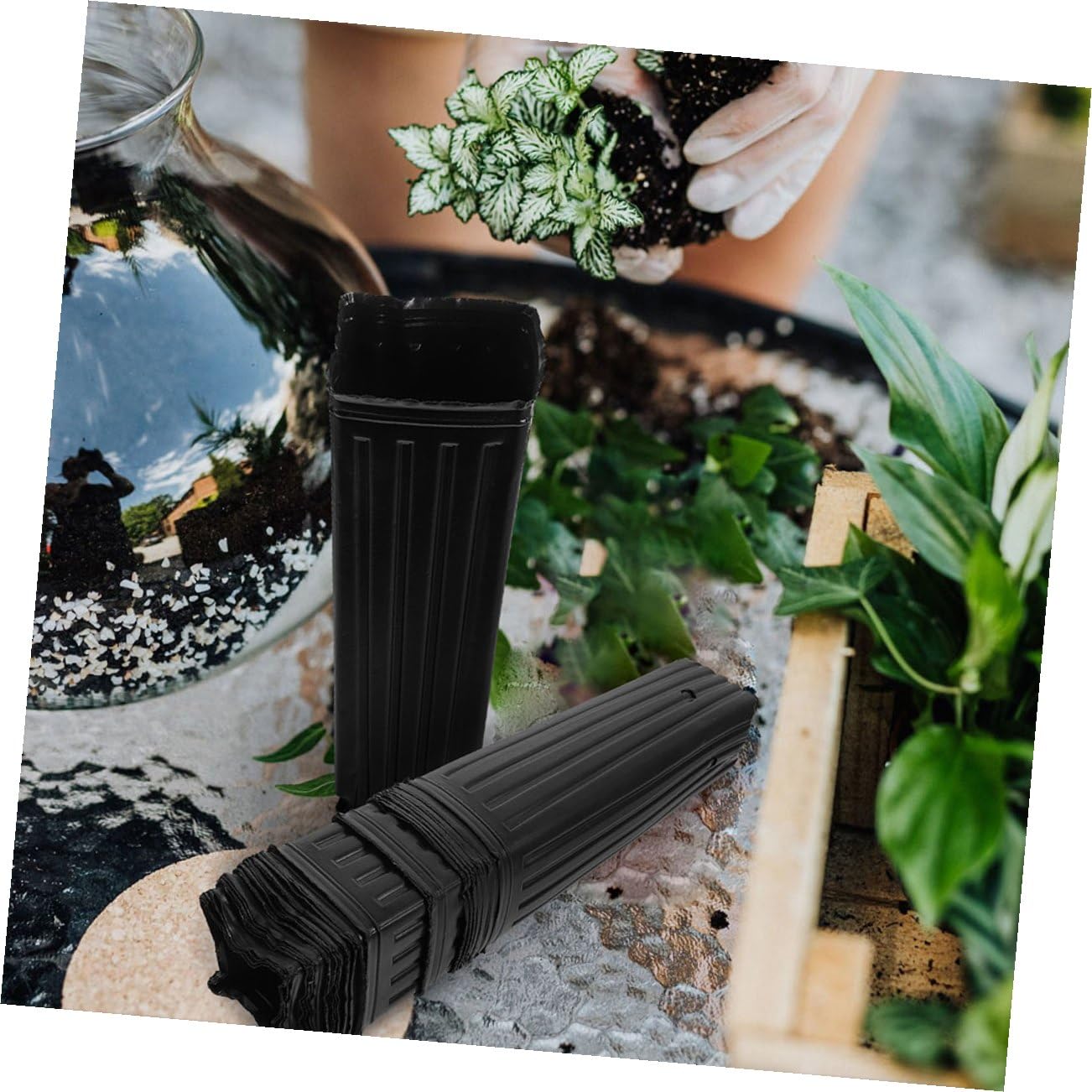 Toddmomy 60pcs Pots de Semis Noirs en PP Épais pour Protection des Racines, Tubes pour Semis Multi-usages, Adaptés pour Arbres et Fleurs en Jardin Intérieur ou Extérieur