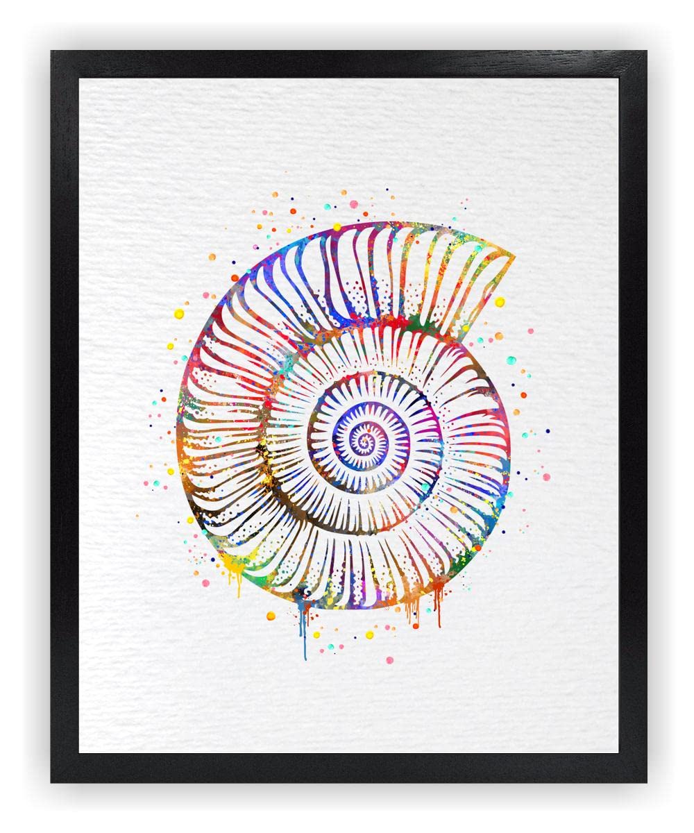 Dignovel Studios8X10 Unframed Spiral Shell Nautilus Ocean Sea Snail Peridic Pattern Nature Peace Love Happiness Symbol Watercolor Art Print Home Office Wall Decor Poster DN671