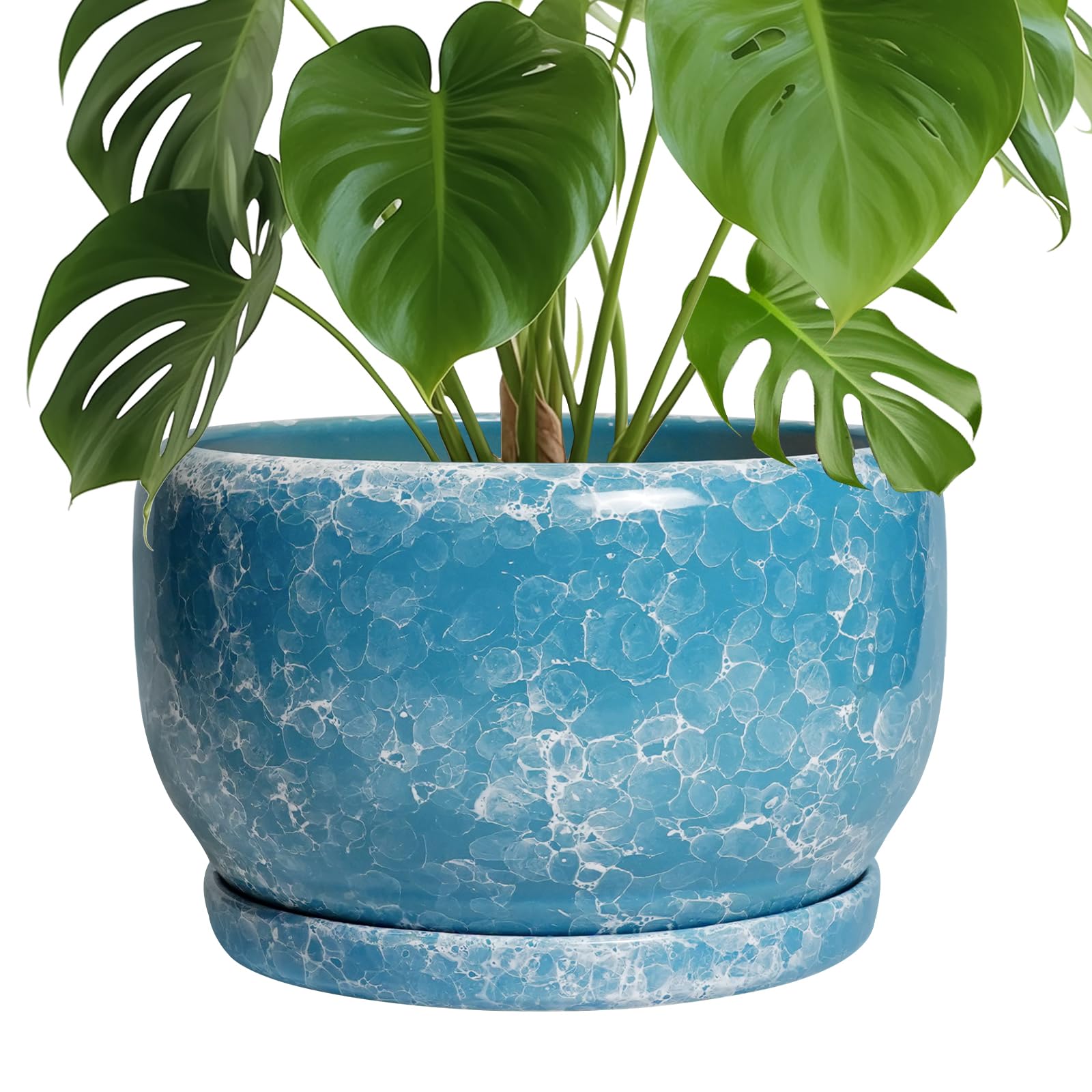 SQOWL Ceramic Planters - 10 Inch Plant Pot Indoor with Drainage Hole and Saucer, Decorative Flower Pot Outdoor, Round Large Planter, Living Room Office Garden Decor, Plant Lover Gifts for Women, Blue