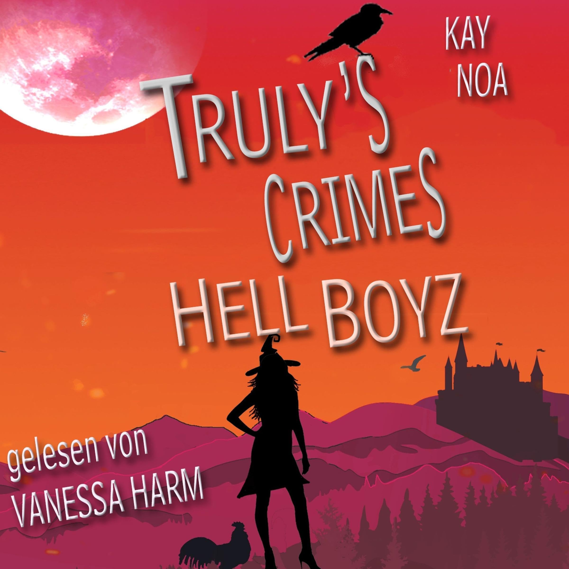 Cover art for Hell Boyz (German Edition)