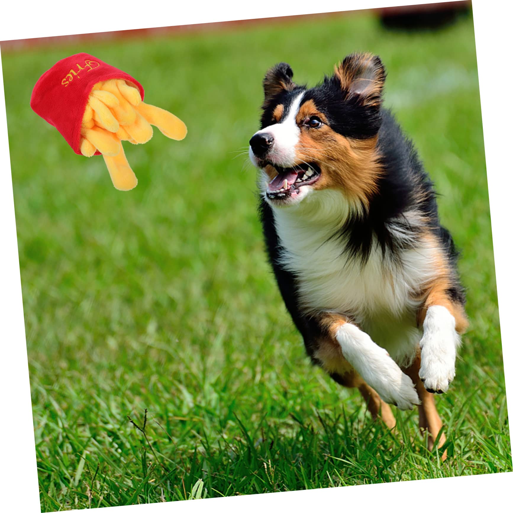 Beaupretty Jouet Couineur pour Chien Jouet à Mâcher pour Animaux De Jeu pour Chien Aux Morsures