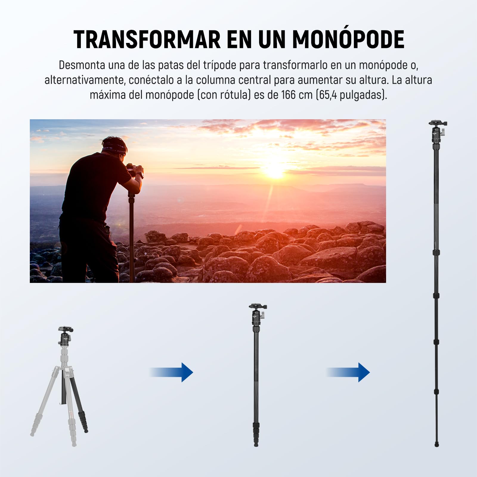 NEEWER Trípode Monopié Fibra Carbono Cámara,65" Ligero Compacto Portátil Viaje DSLR Video Tripode, 360° Rótula Placa QR Antideslizante Eje Central Invertido Patas Reversibles, Carga Máx 13,2lbs, TP39
