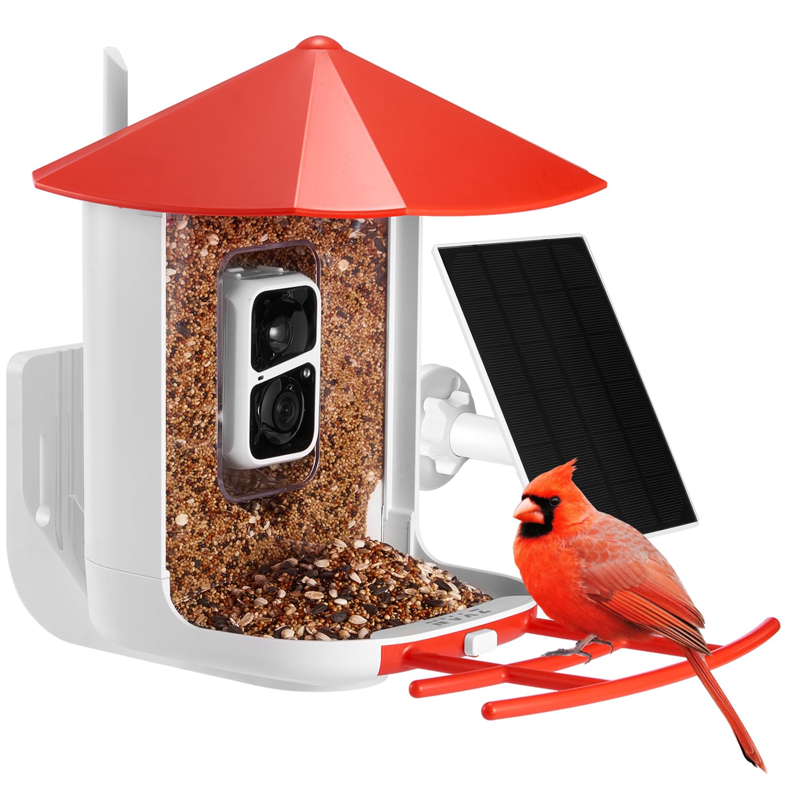 ZYAN Bird Feeder with Camera, Smart Bird Feeder Camera, Bird Watching Camera with AI Identify Bird Species, 2K HD Auto Capture Bird Videos & Motion Detection, Ideal Gift for Birder Bird Lovers