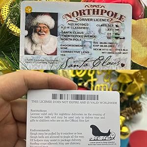 Santa Claus Lost Drivers License Christmas Decorations,Novelty Santa Sleigh Flying License ID Card,Santa Claus Card Flight License Christmas Eve Key Box Gift Xmas Tree Ornament (Colors-3PCS)