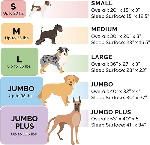 Miniatura 8 de Furhaven Cama ortopédica de espuma para perros, de pelo sintético y terciopelo, con diseño de caja de huevos, color salvia oscura, talla L