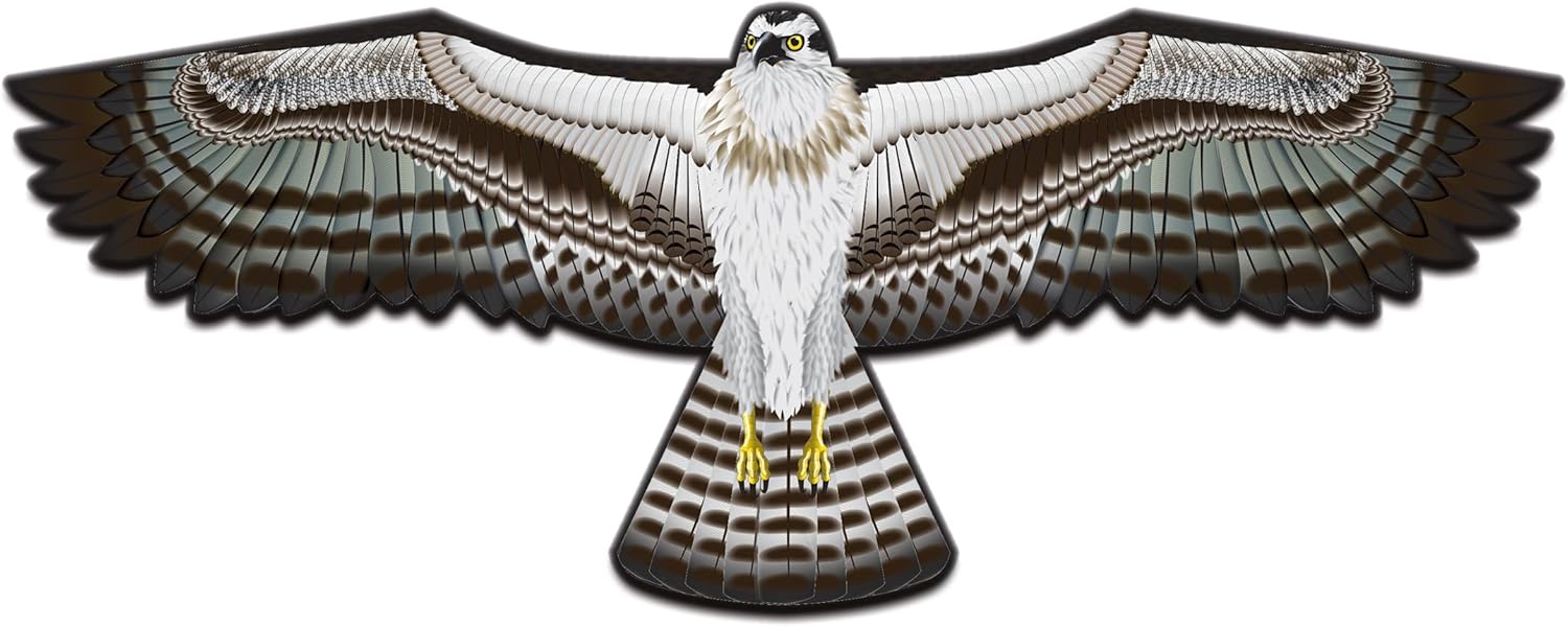 WindNSun Supersize Ultra Osprey Ripstop Nylon Osprey Kite, 70 Inches Wide