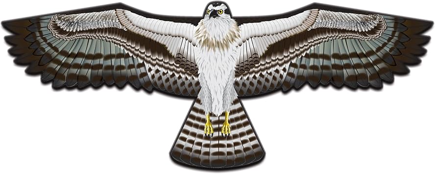 WindNSun Supersize Ultra Osprey Ripstop Nylon Osprey Kite, 70 Inches Wide