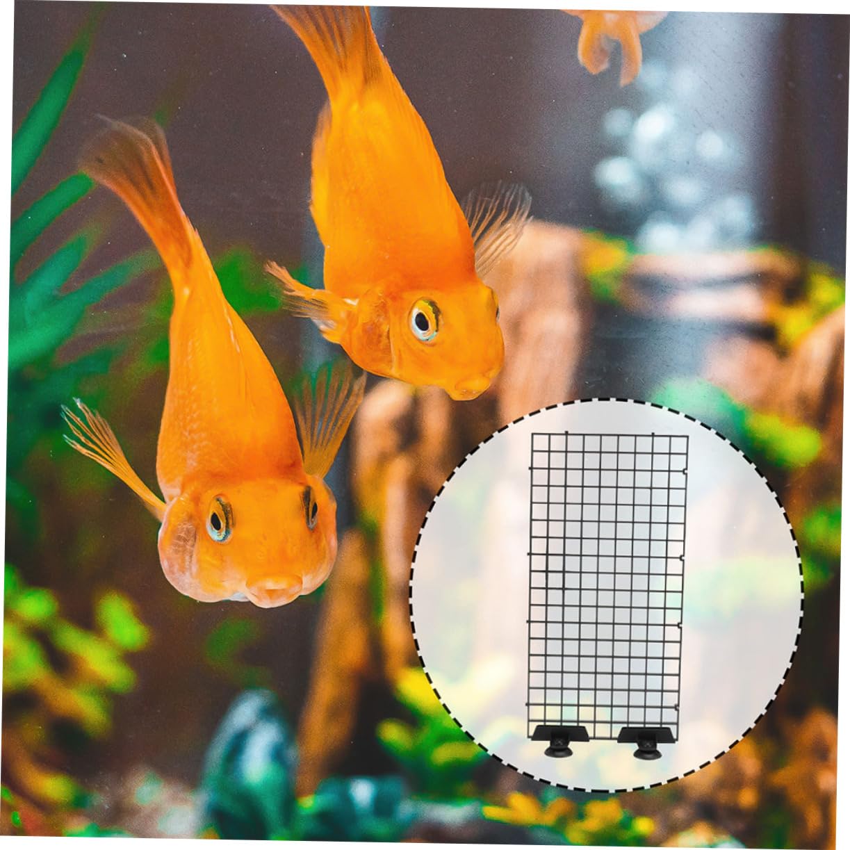 BESPORTBLE Rejilla Divisora ​​de Plástico para Acuario 10 Unidades Separador de Pecera Red de Aislamiento para Pecera