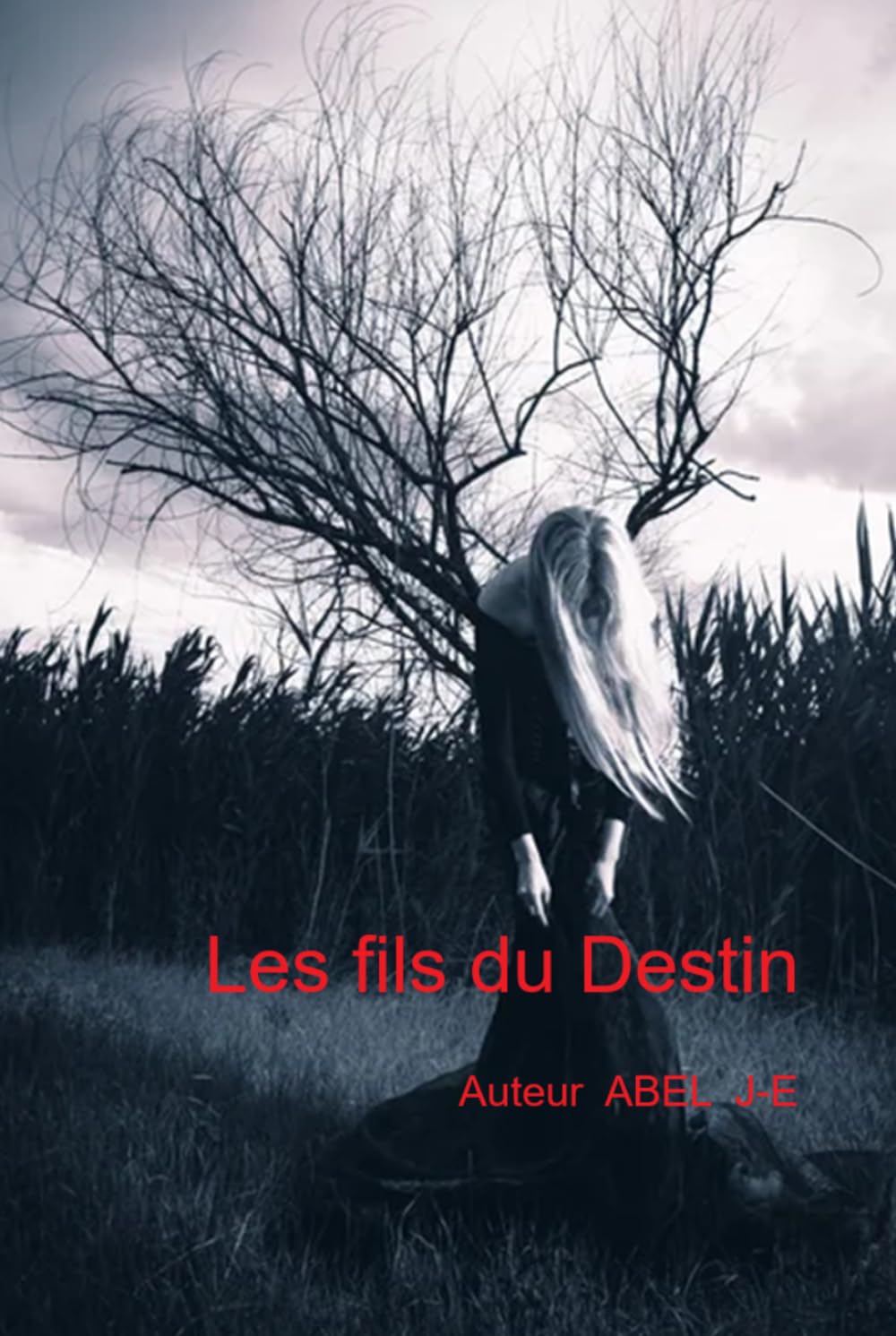 Les Fils du destin