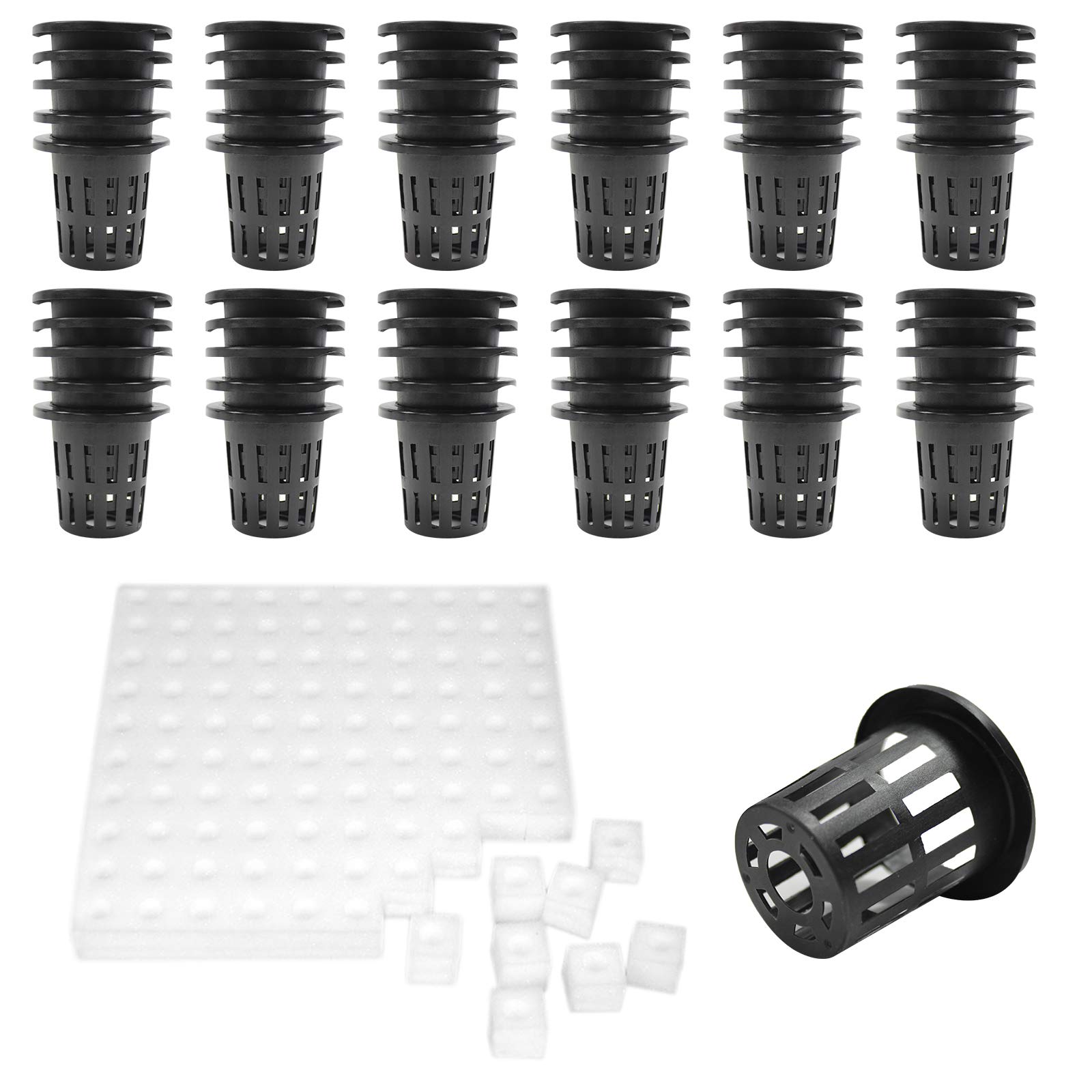 Buy BeGrit 1.5 inch Net Pots Cups Plastic Slotted Mesh Cups 50 Pack