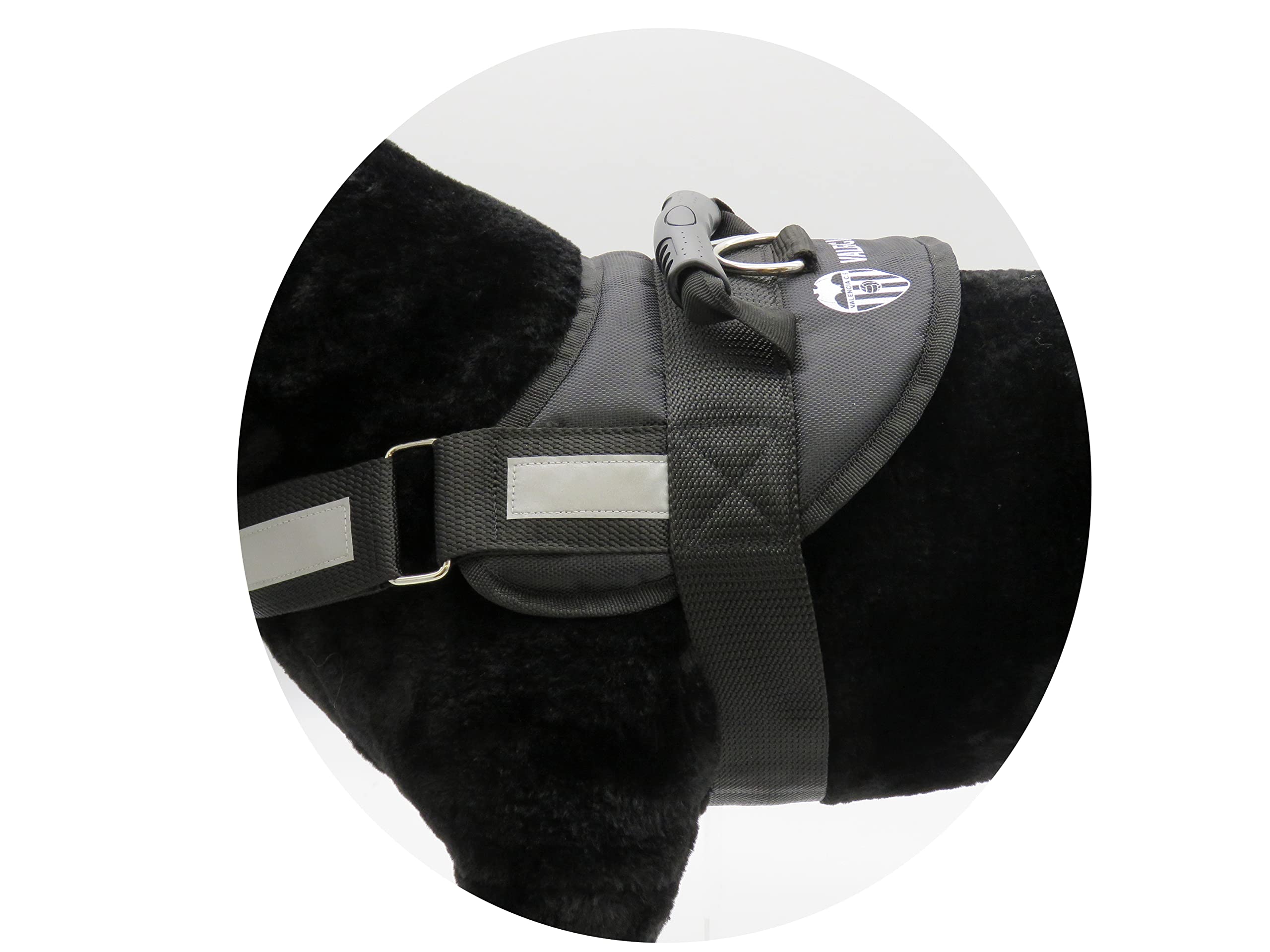 Reinforced Harness with Padded for Dogs - Size S-M - Pet Accessories, Official Product, Valencia (Cyp Brands) - Image 4