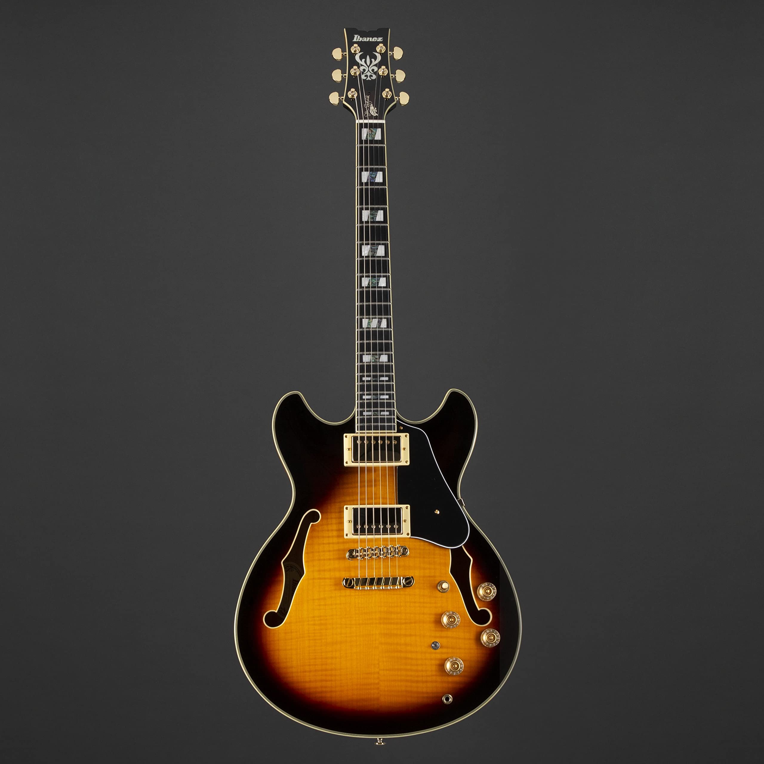 Amazon | Ibanez/John Scofield Signature Model JSM10-VYS Vintage
