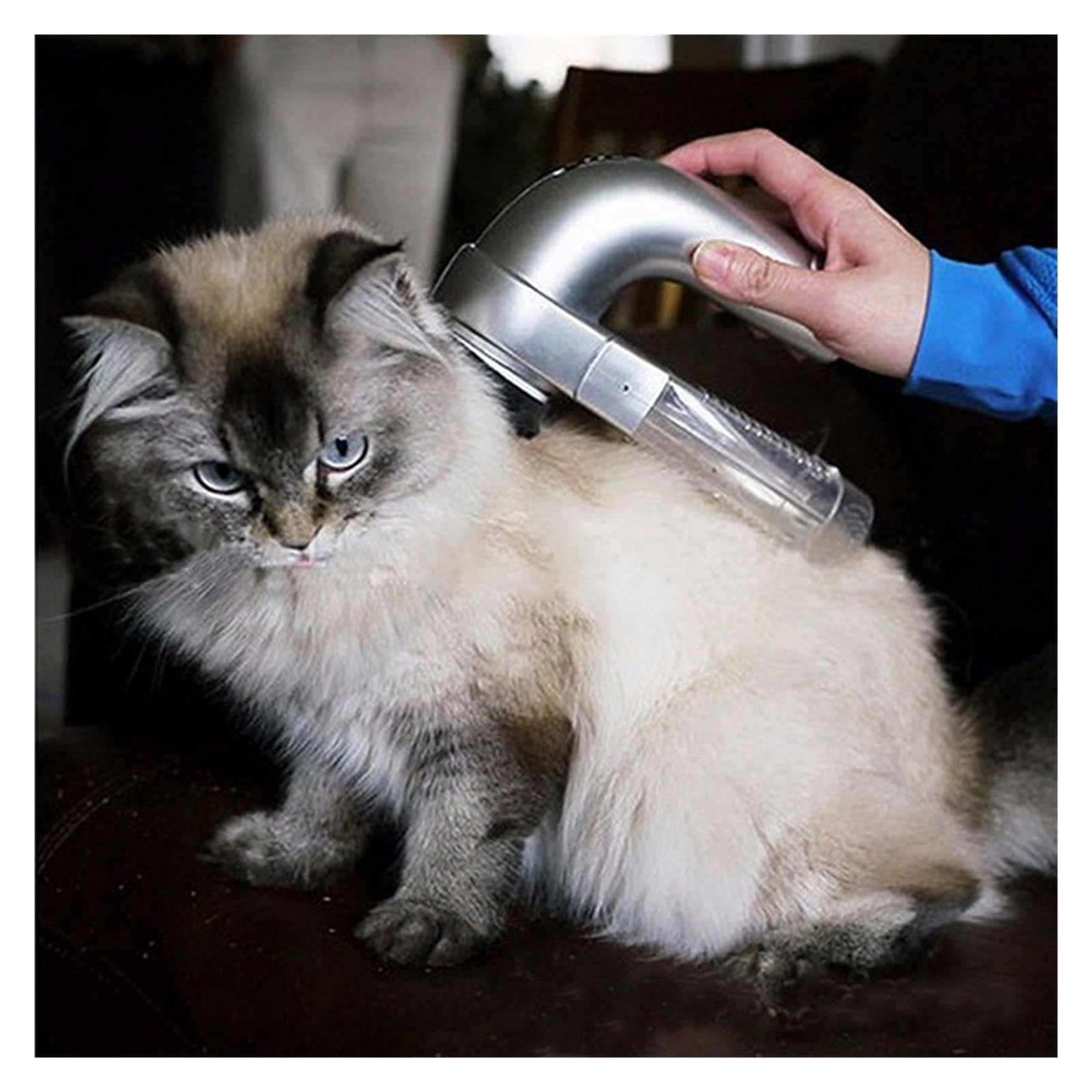Cepillo eléctrico removedor de pelo de mascotas para perros y gatos, herramienta de aseo con aspiradora, peine de pelo alimentado por pilas