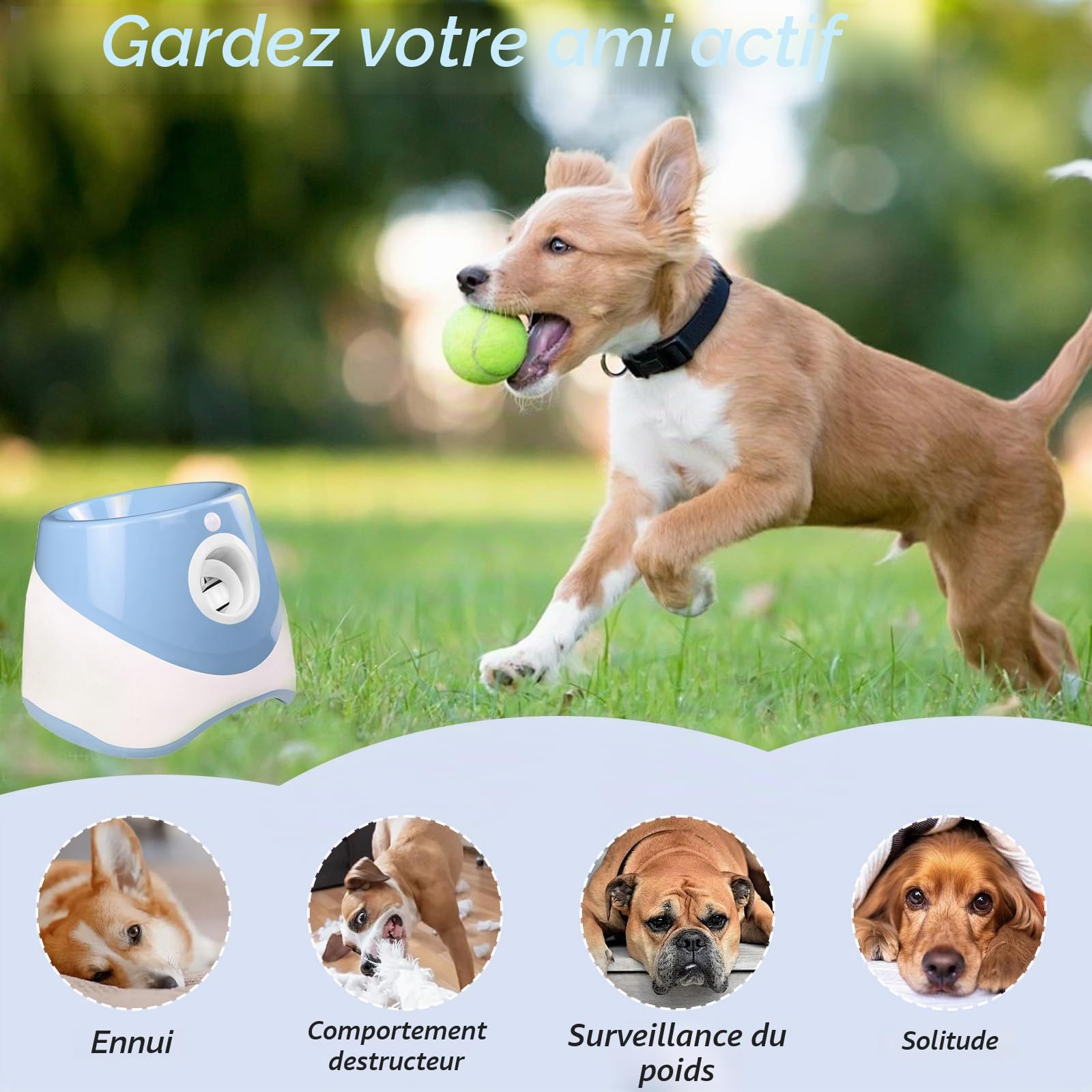 HAMON Lanceur de balles automatique pour chiens, machine à lancer des balles avec 6 balles de tennis, balle interactive pour chiens de petite et moyenne taille, portée de lancer entre 3-9 M