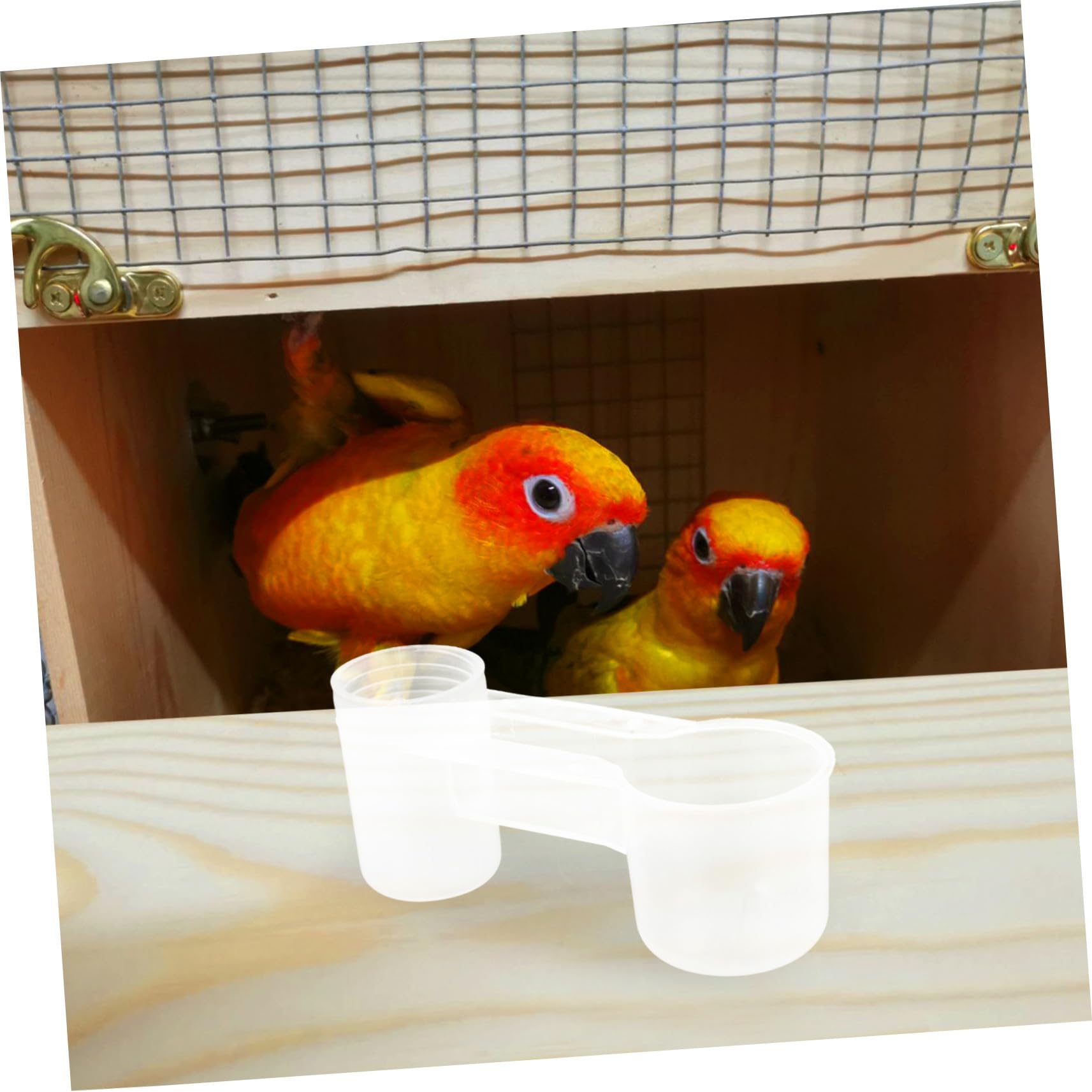 UPKOCH Distributore D'acqua per Uccelli Doppia Bocca 10 Pezzi in Plastica Bianca, Facile da Pulire e Resistente, per Pappagalli e Uccelli in Casa o Negozio per Animali