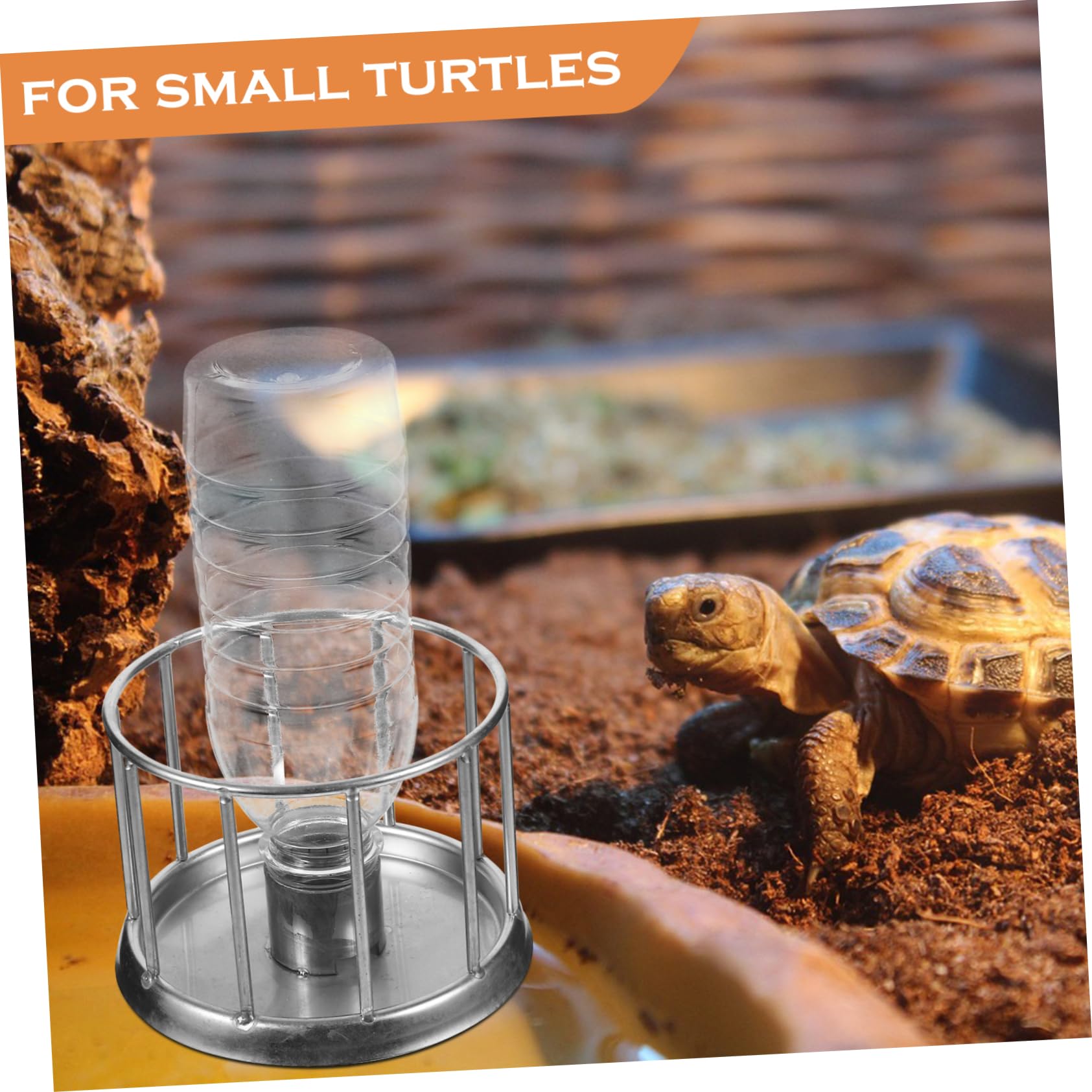 BESPORTBLE 4 Pièces d'eau pour Tortues Mini Animaux Bol d'eau pour Animaux De Compagnie Reptisoil Tortues Terrarium Bol De Nourriture Tortue Habitat Accessoires Reptile Plat
