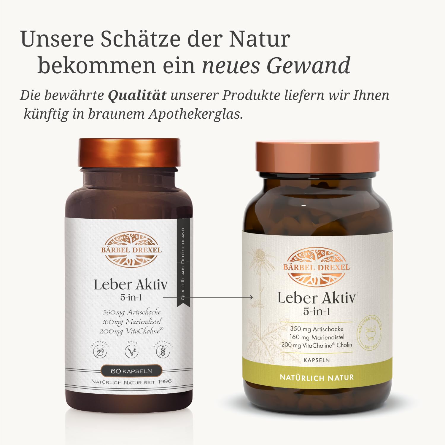 BÄRBEL DREXEL Leber Aktiv 5-in-1 Kapseln mit Cholin, Mariendistel, Löwenzahn, Artischocke, Piperin, Zink, Vitamin E, Selen (60 Stk) Leber Kapseln Naturheilkunde Bitterstoffe