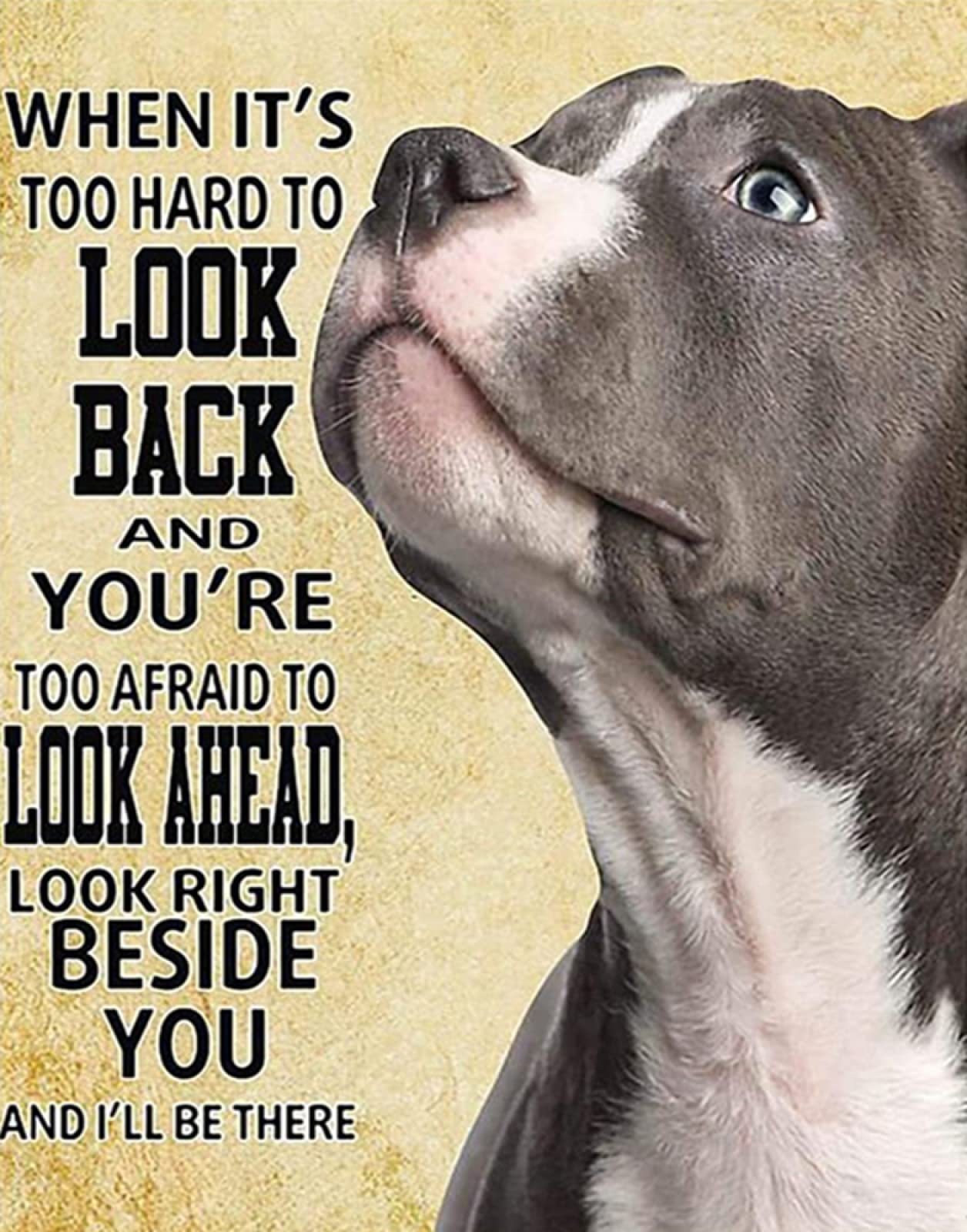 Vimisa Clear 5D Diy Diamond Painting Kits For Adults Kids Beginner - Staffordshire Bull Terrier - Crystal Rhinestone Diamond Embroidery Paintings Great For Home,Office,Wall Decor -15.7×19.7Inch(Round Drill)
