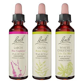 Amazon.com: Bach Original Flower Remedies 3-Pack, Be Your