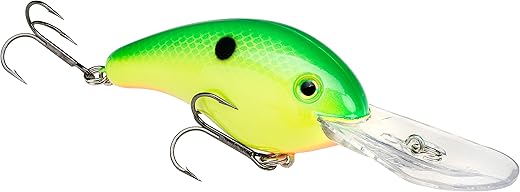 5XD vs Bitsy: Vergleiche Crankbaits — Verarbeitung & Design