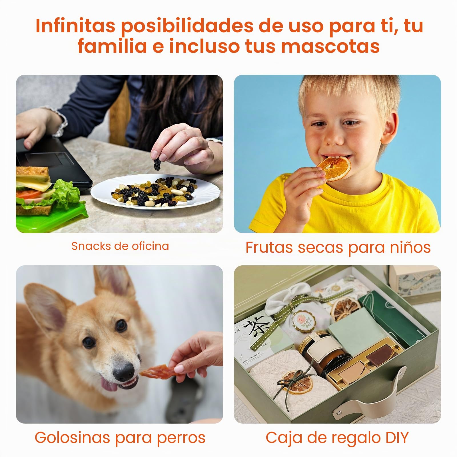Deshidratador de 5 capas Smart Touch, secador visual de alimentos con temporizador de 72 horas, temperatura ajustable de 35 a 70 °C e indicador LED para secar frutas, verduras, carnes
