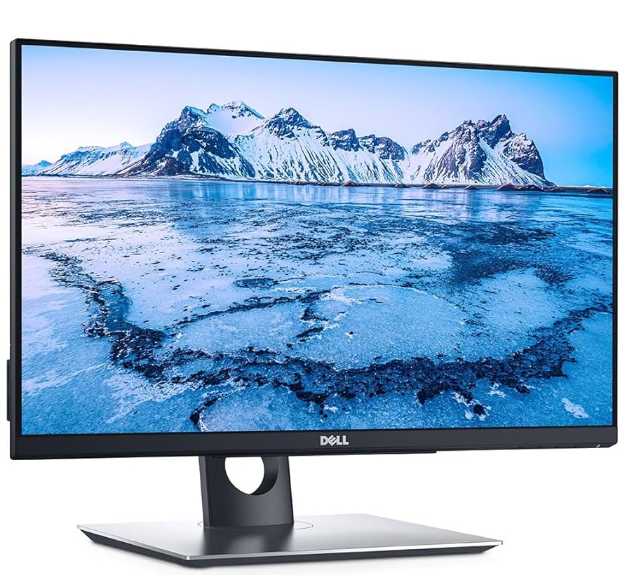 Dell P2418HT 24