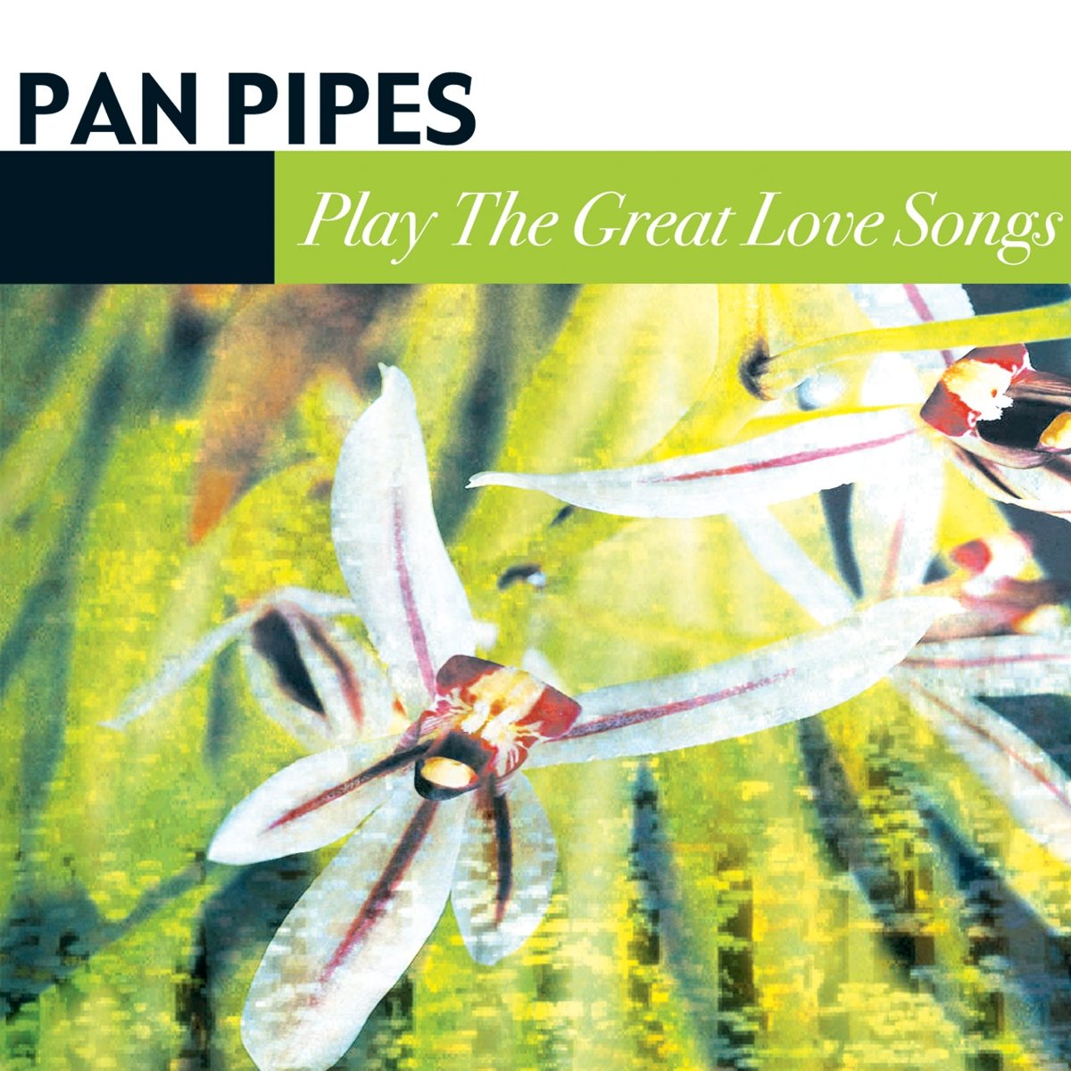 Play the Great Love Songs Pan Pipes Amazon.in Music}