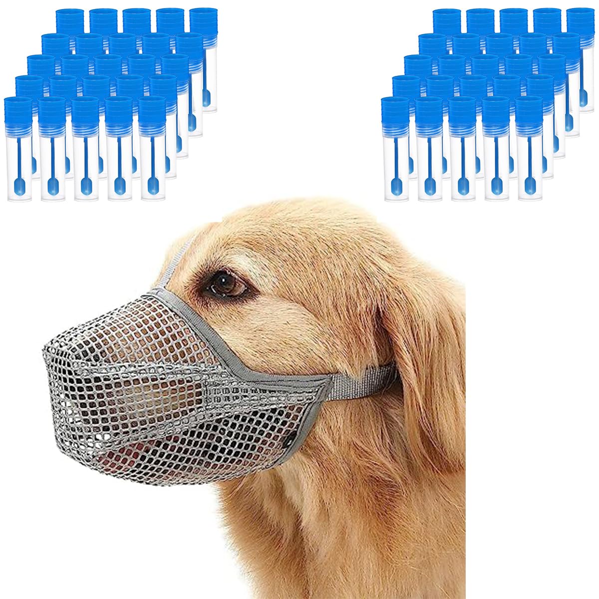 Forlush 15 Pezzi Raccolta Di Provette, Laboratorio Provette In Plastica, Provetta In Plastica Con Cucchiaio, Adatto Per L'Analisi Delle Feci Di Cani, Gatti E Altri Animali Domestici