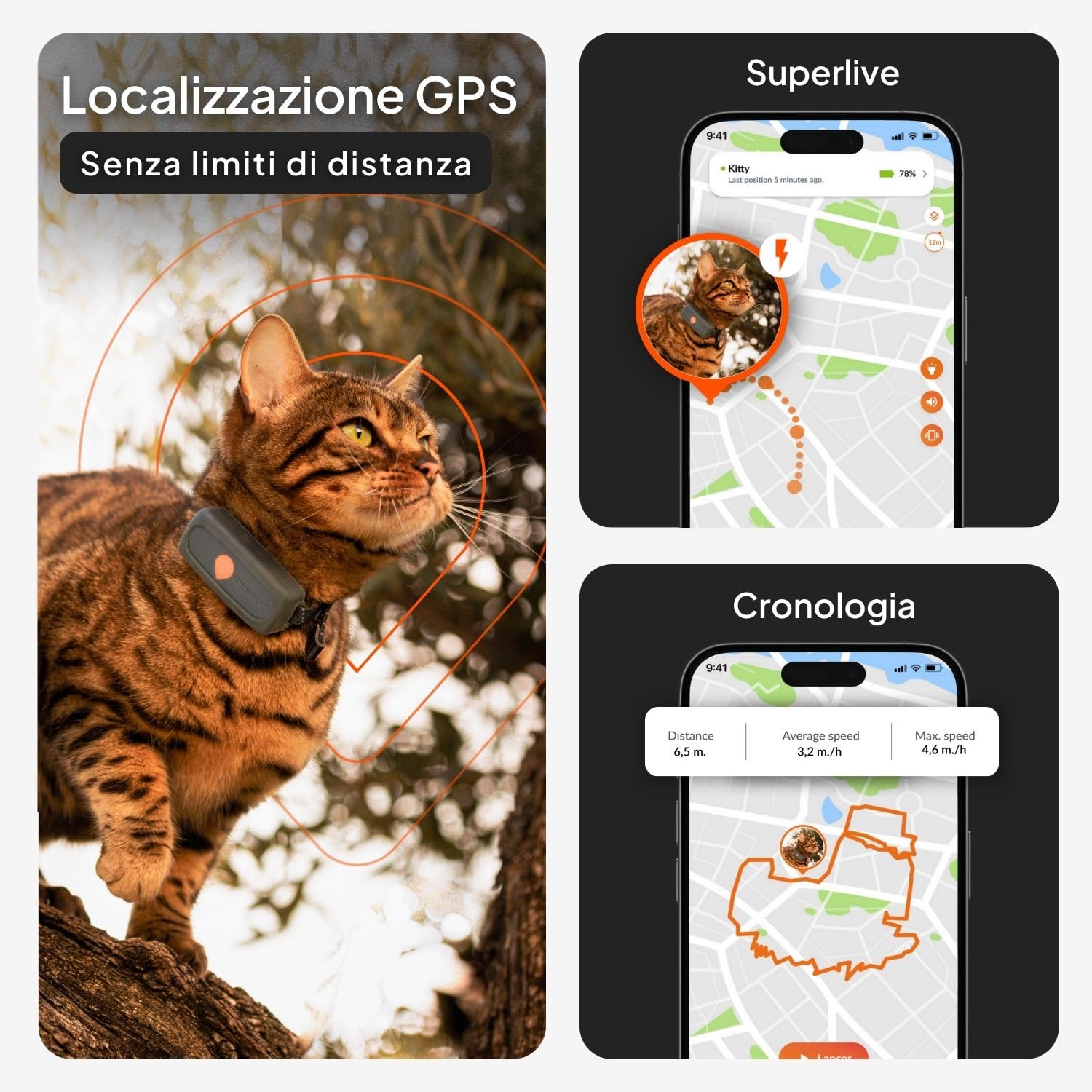 Weenect Cat XS - NUOVO collare GPS per gatti | Il più piccolo sul mercato | Funziona con abbonamento | Collare incluso | Garanzia a vita