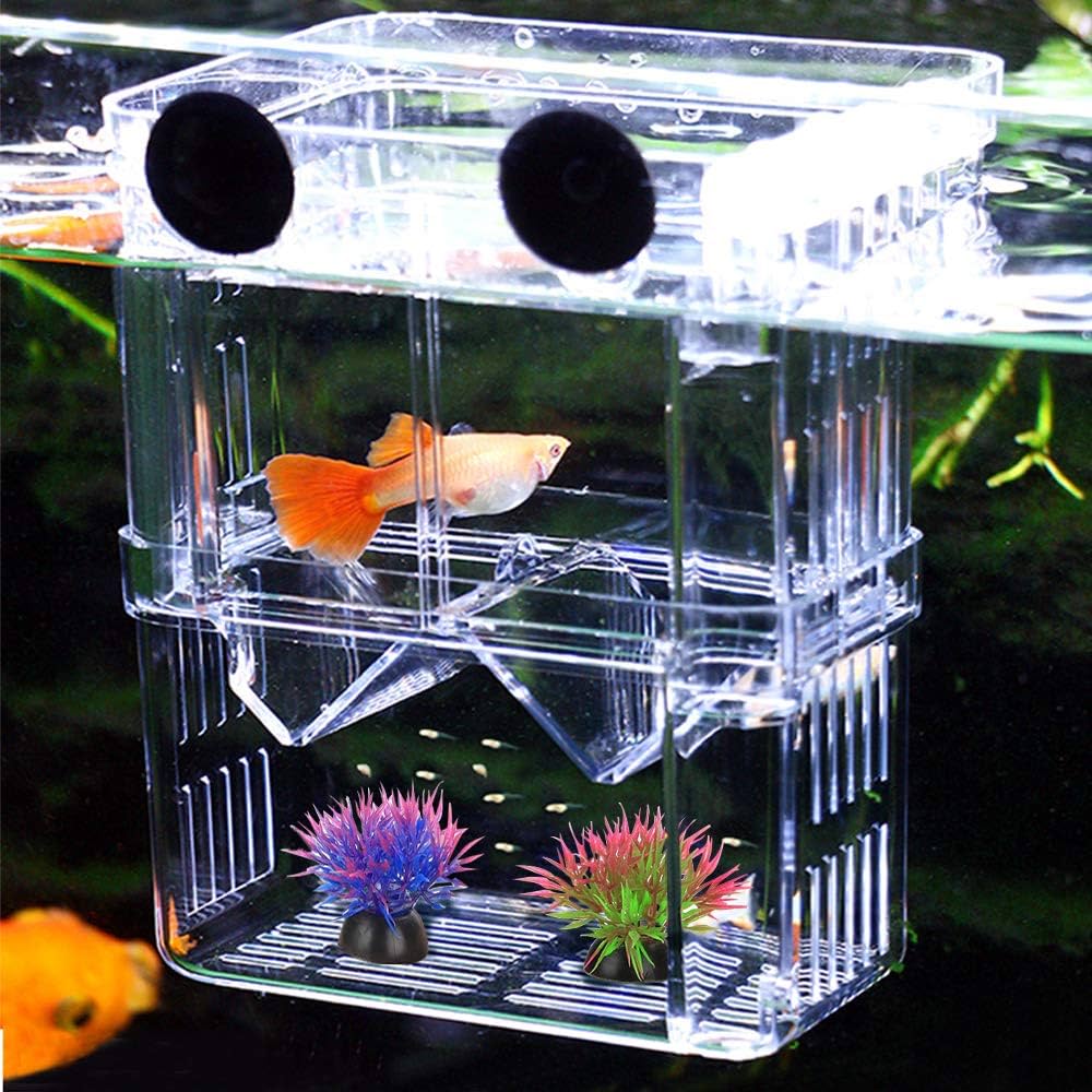 Large Aquarium Incubator Fish Isolation Breeding Box. Protective Net Box for Reproductive Female, to Separate Smallest, and the Tropical Fish Fry Protection