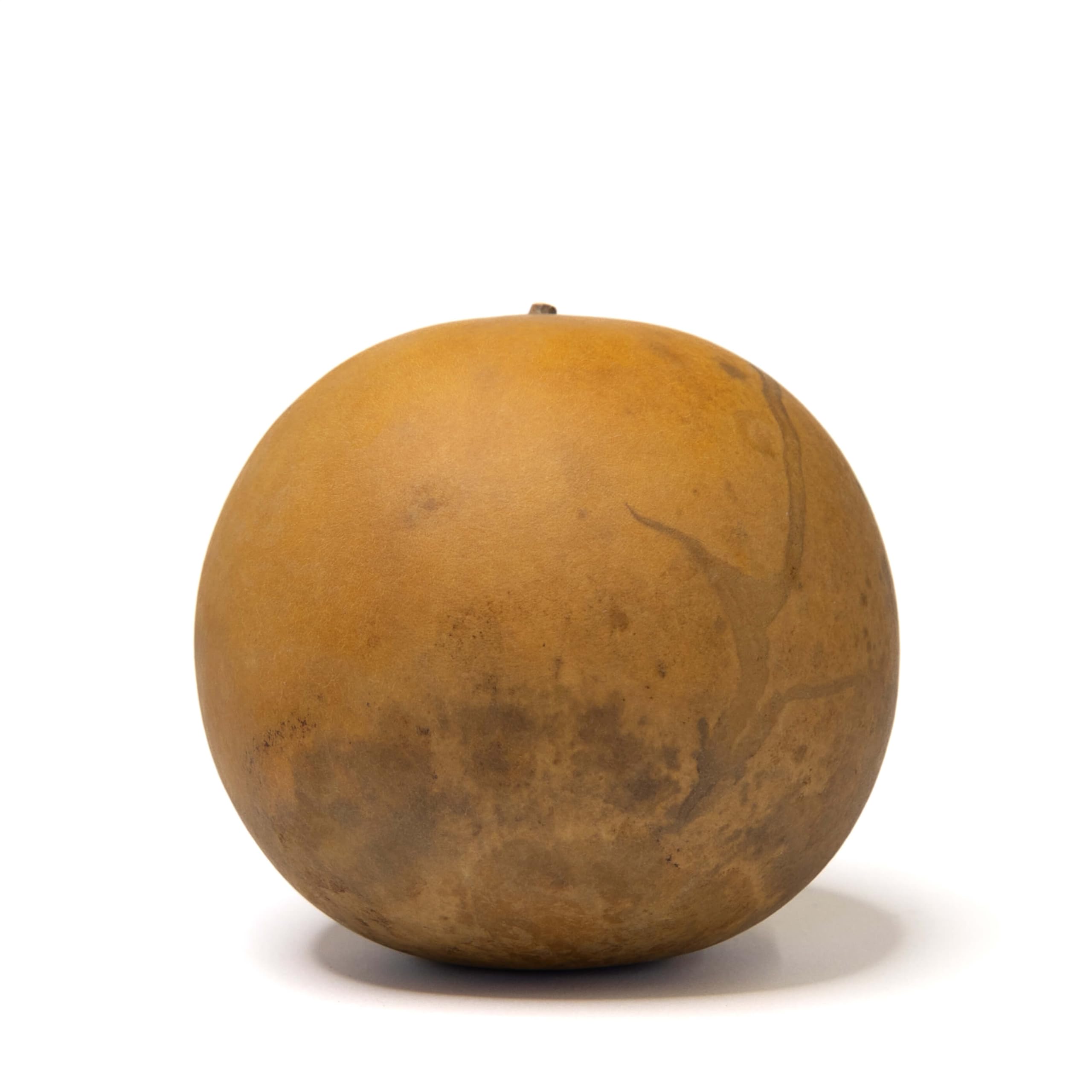 Box of 3 Dried Cannonball Gourds - 5