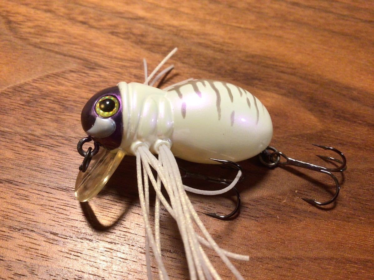 Amazon.co.jp: 超 JACKALL ジャッカル 廃番 HAMAKURU SPIDER ハマクル