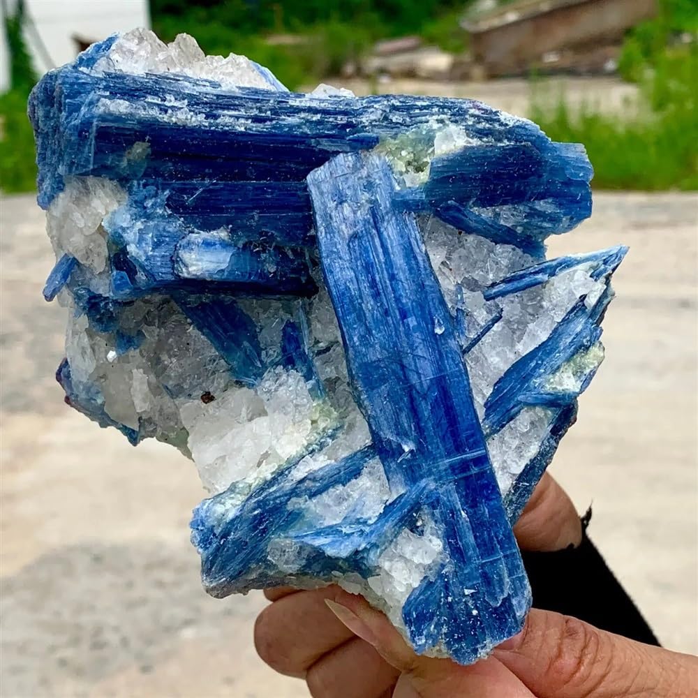 RVBLRDSE Beautiful Blue kyanite with Quartz Crystal Rough Ornaments (Size : 550-600g) Gemstone Stone