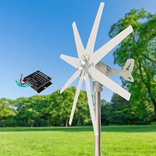 Heim-Windkraftanlagen-Set, hocheffizienter Permanentmagnet, 14000 W, 12 V, 24 V, 48 V mit MPPT-Regler, 8 Rotorblätter