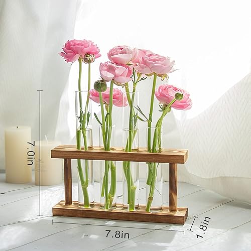 Miniatura 5 de Macetas de propagación de escritorio de vidrio, estación de propagación de plantas con soporte de madera, 4 jarrones de tubo de ensayo, para