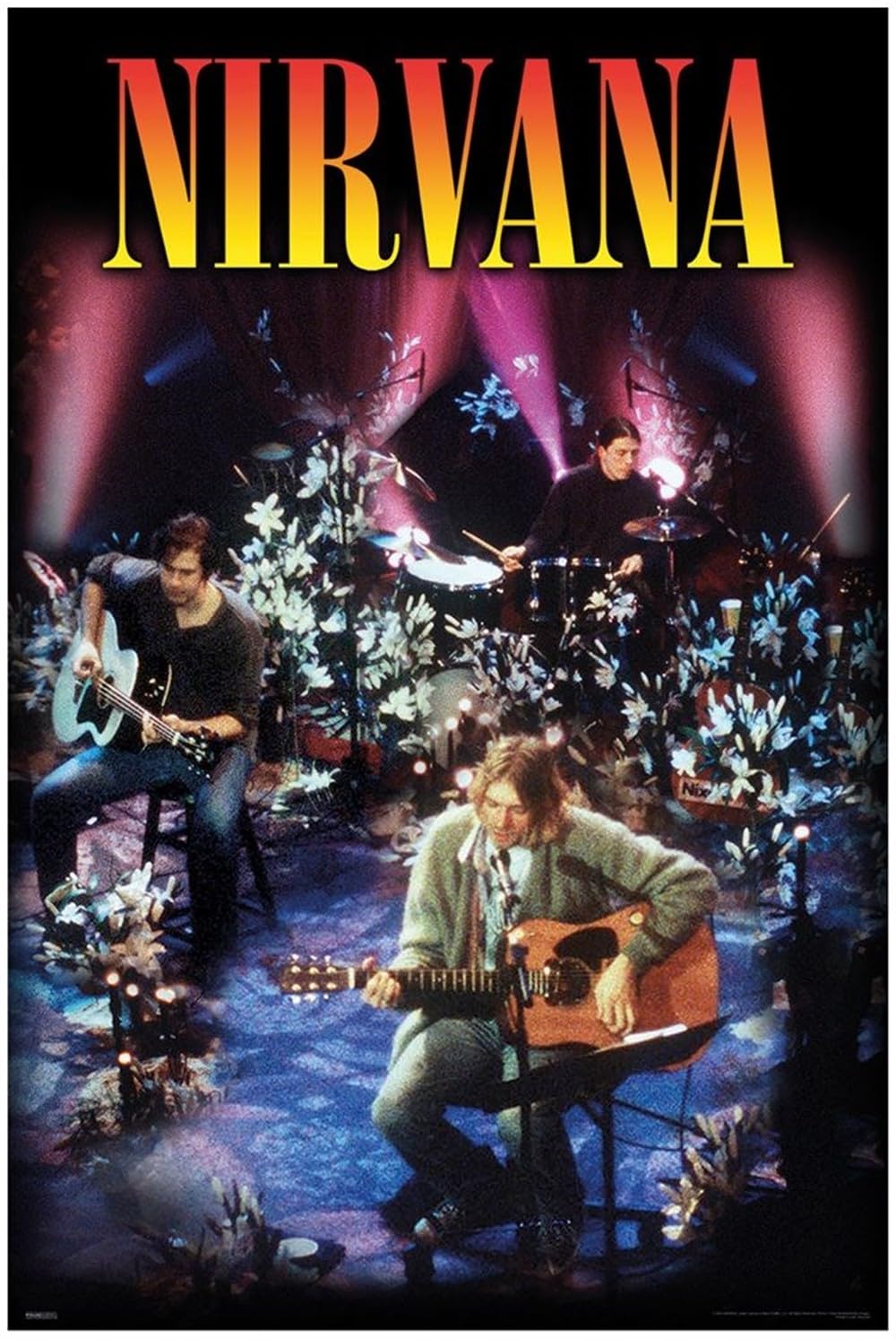 Pyramid Various Merchandising Nirvana - Unplugged Maxi Poster