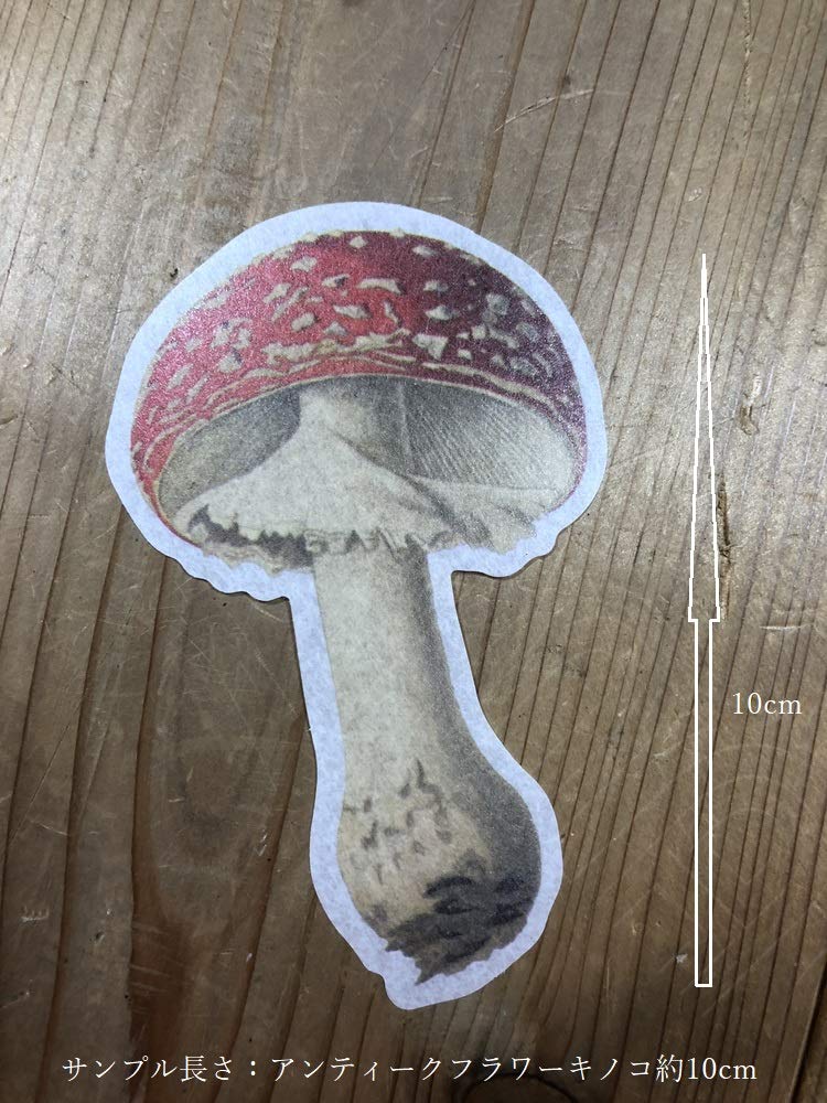 キラキラ⭐️　ボタニカル Amazon | [COSMIC TREE] ボタニカル 植物 アンティーク調 シール