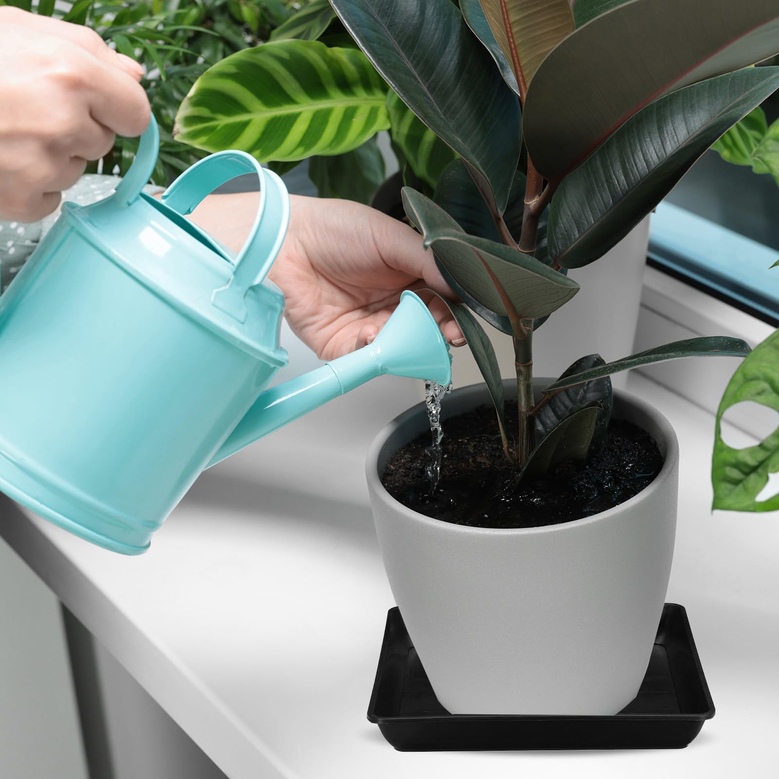 PATIKIL Soucoupe pour Plantes, Lot de 10, 12 Pouces, Soucoupe Carrée en Plastique Blanc pour Plantes D'intérieur Et D'extérieur, Balcon, Terrasse