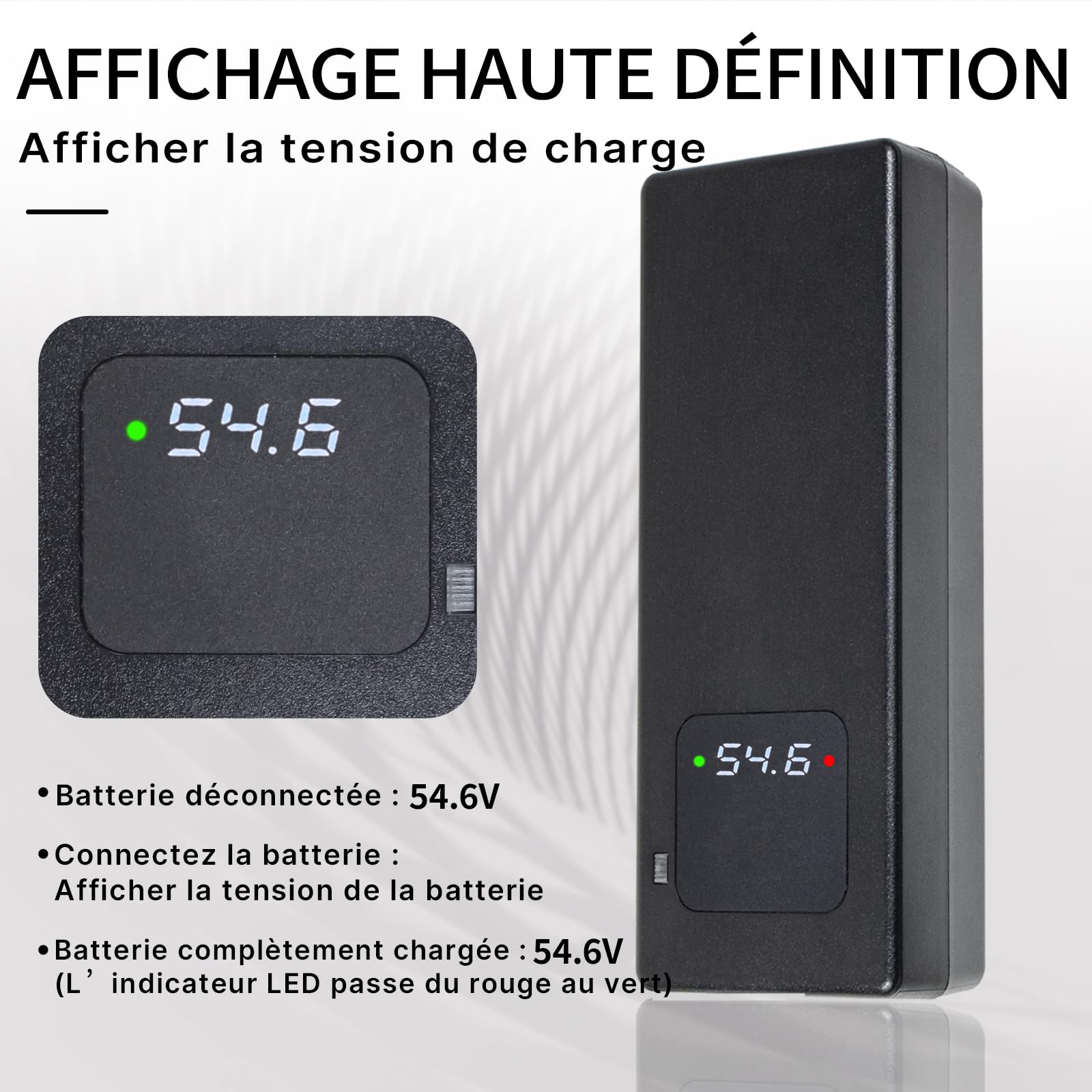 Chargeur Batterie 54.6V 2A, pour Batterie Lithium 48V, avec Affichage LED et Multiples Fonctions de Protection et de réparation, équipé de connecteurs RCA 8mm, DC 5.5 * 2.1mm