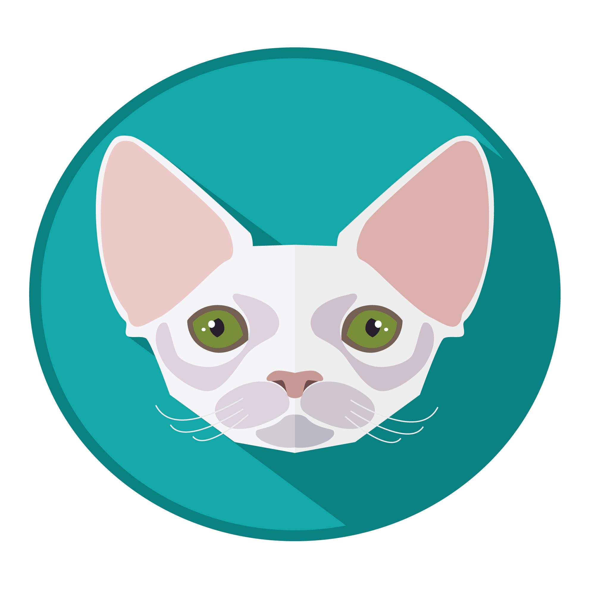 Devon Rex Cat Breed - 5 Inch Awesome Amazing Full Color Vinyl Decal for Laptop, Car Window, Exterior (5 Inch)