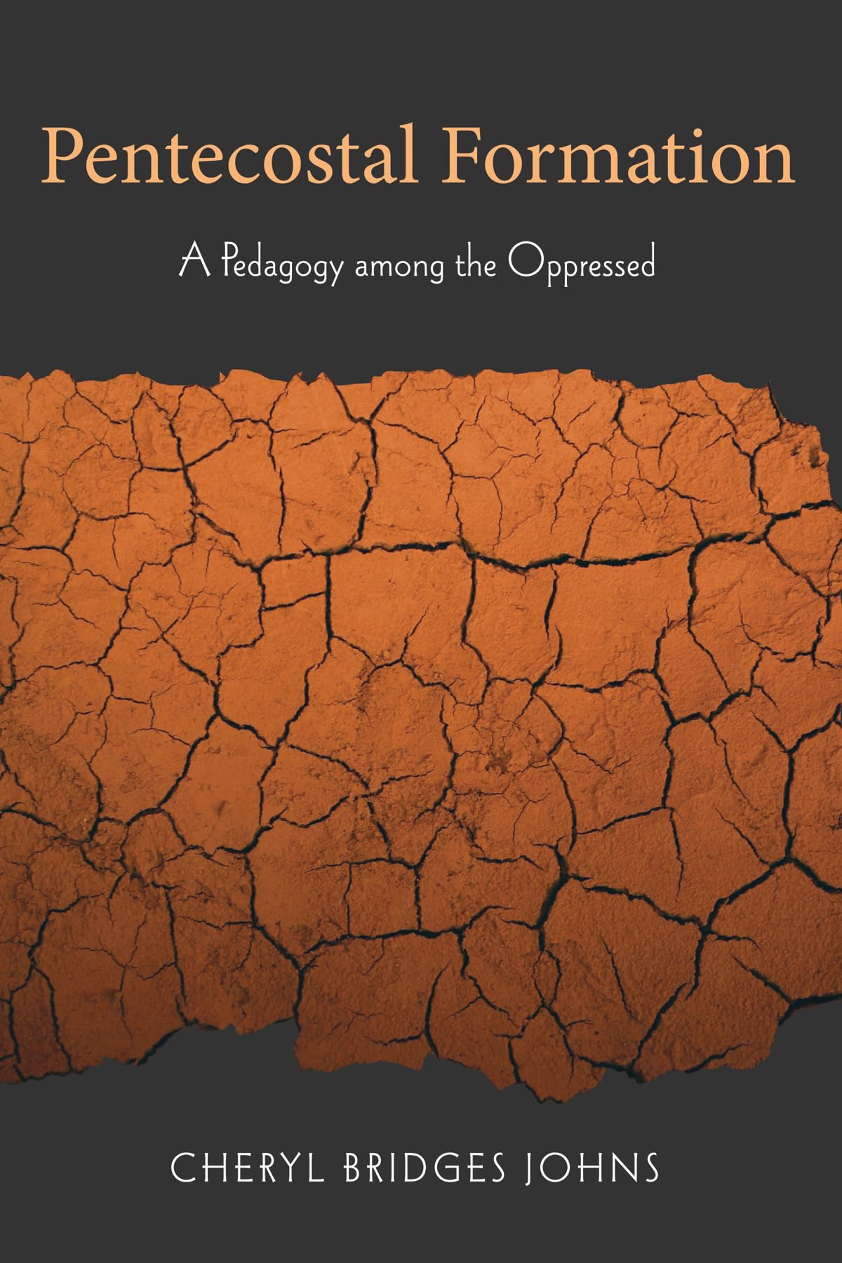 Pentecostal Formation: A Pedagogy among the Oppressed (Journal of Pentecostal Theology Supplement Series)