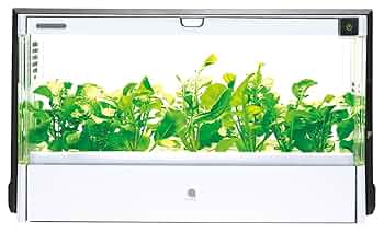 水耕栽培セット UH-A01E1 ユーイング 71r7tSqyEsL._UF350,350_QL50_.jpg
