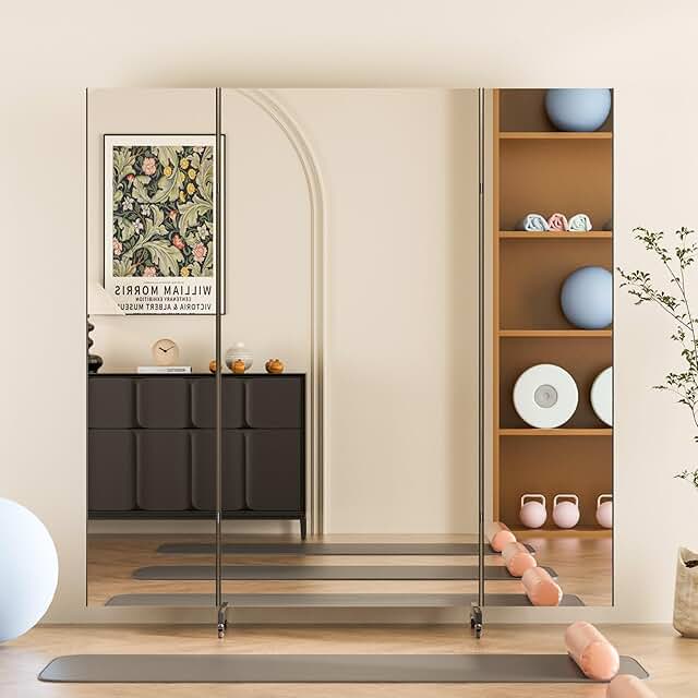 brisafe Full Length Mirror with 360° Wheels, 71